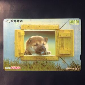 2001年5月1日発売柄ー犬シリーズ「柴犬」ー阪急ラガールカード(使用済スルッとKANSAI)