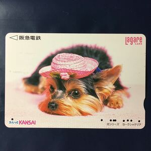 2000年4月1日発売柄ー犬シリーズ「ヨークシャテリア」ー阪急ラガールカード(使用済スルッとKANSAI)