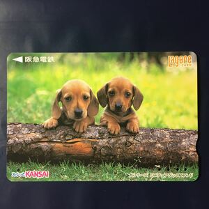 2000年9月1日発売柄ー犬シリーズ「ミニチュアダックスフンド」ー阪急ラガールカード(使用済スルッとKANSAI)