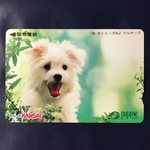 1998年6月1日発売柄ー犬シリーズ「マルチーズ」ー阪急ラガールカード(使用済スルッとKANSAI)