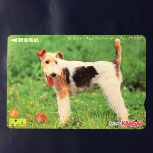 1998年10月1日発売柄ー犬シリーズ「ワイヤーへアードフォックステリア」ー阪急ラガールカード(使用済スルッとKANSAI)