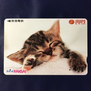 1997年9月1日発売柄ー動物シリーズ「ねむる猫」ー阪急ラガールカード(使用済スルッとKANSAI)