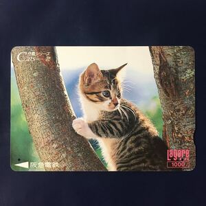 1995年8月15日発売柄ー仔猫シリーズ「Cat’s-2」ー阪急ラガールカード(使用済スルッとKANSAI)