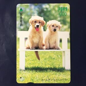 1995年10月15日発売柄ー子犬シリーズ「ゴールデンレトリーバー」後年再販版ー阪急ラガールカード(使用済スルッとKANSAI)