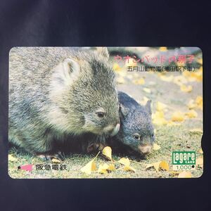 1994年3月5日発売柄ー「ウオンバットの親子(池田五月山動物園)」ー阪急ラガールカード(使用済スルッとKANSAI)