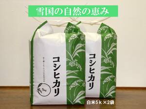 ◆訳アリ4年産◆長野県産コシヒカリ＜白米５kg×2袋＞低温貯蔵米