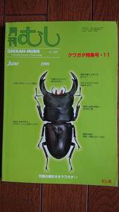 ●◎●　月間　むし　No.３４０　クワガタ特集号１１　表紙、黄緑「究極の美形オオクワガタ!!」　中古　ゆうパケット送料２３０円　●◎●