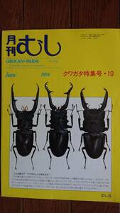 ●◎●　月間　むし　No.３２８　クワガタ特集号１０　中古　ゆうパケット送料２３０円　●◎●