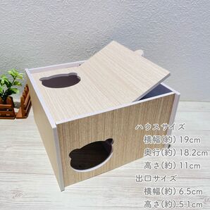 ハムスターボックスHAMSTER BOX地下式ハウス家巣箱木箱ハビんグハーモニー