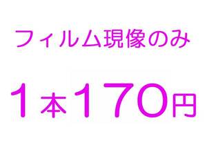 即決【　c41.jp　】カラーネガフィルム現像 １０本で１７００円