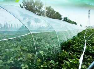  super popular * moth repellent agriculture for kitchen garden gardening insecticide net insect repellent net insect repellent net moth repellent net moth repellent seat mesh sheet width 1m× length 100m tunnel cultivation 