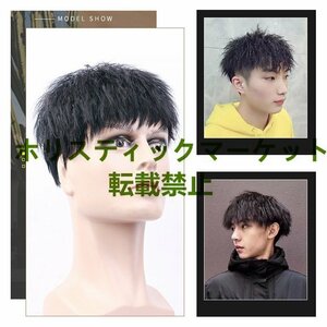 ... fine quality men's wig person wool wig Short hair - permanent Karl human work scalp wig soft good-looking nature light weight attaching wool 15*15/18*20 selection 