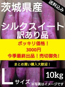 茨城県産2023年秋新物さつまいも《シルクスイート》10キロ訳あり品Lサイズ送料無料