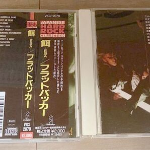 FLAT BACKER / ESA餌フラットバッカー/戦争アクシデント/2枚セット