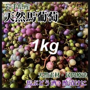 【天然・馬葡萄】 1kg 大容量　馬ぶどう　薬膳酒　ぶすの実　産地直送品　薬膳　健康法　健康療法　素材　天然　酢漬け　薬酒作りに