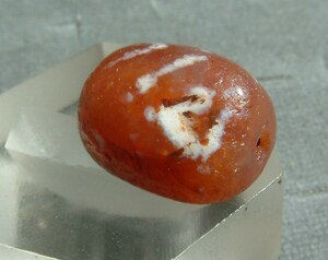 192【天珠八仙】〈15～17世紀頃のOLD.チベタンEtched Carnelian〉ペマラカ後期 小粒..約1.6㌢