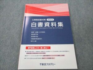 VK20-134 東京アカデミー 公務員試験対策 白書資料集 2023年合格目標 状態良い 13S4C