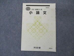 VM04-149 河合塾 小論文 テキスト 2021 春期講習 02s0C