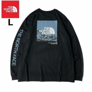 1円～!売切!【正規新品】THE NORTH FACE◆L/S LOGO PLAY 長袖 Tシャツ ロンT US限定 袖ロゴ ヒマラヤ 落描き風 ボックスロゴ(L)黒180902-20