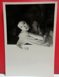 伊藤咲子 宣材写真(サイズ約13x9㎝) B/検;プロマイド歌手タレント生写真アイドル女優ブロマイド