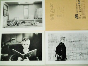 ミュウ・ミュウ出演「読書する女」映画 スチール写真 3枚一括/検;ミシェル・ドヴィル 