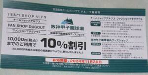 阪神甲子園球場内グッズショップ 10％割引券　阪急阪神HD株主優待③