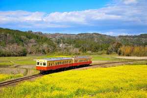 鉄道 デジ 写真 画像 小湊鉄道 7