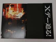 （佐川発送）SANKYO　サンキョー　CRF X JAPAN 紅魂 パチンコフィーバー Xジャパン パンフレット　01_画像5