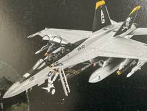 1/72 Revell F/A-18F SUPER HORNET / ドイツレベル スーパーホーネット ジョリーロジャース_画像10