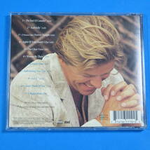 CD　ピーター・セテラ　PETER CETERA / ONE CLEAR VOICE　US盤　2005年　ソフトロック　シカゴの元ヴォーカル_画像2