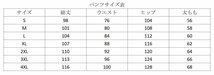 バイクウエア 上質バイク用 上半身プロテクター モトクロス オフロード +ネックガード+レーシングパンツ　3点セット黒 HXT0381_画像7