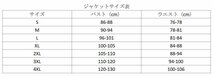 バイクウエア 上質バイク用 上半身プロテクター モトクロス オフロード +ネックガード+レーシングパンツ　3点セット黒 HXT0381_画像6