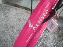 BRIDGESTONE Assista DX ブリヂストン アシスタDX スペシャル(A6DS83)26インチ 電動アシスト自転車 中古車　伊豆半島から_画像9