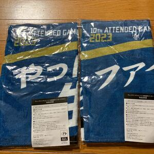  Japan ham Fighter z towel Hokkaido . message towel set 