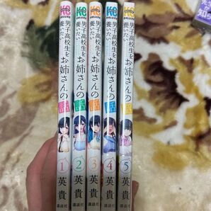男子高校生を養いたい お姉さんの話