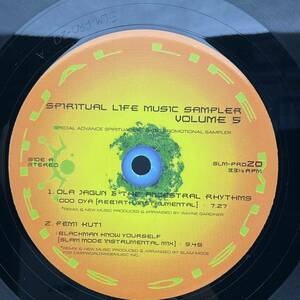 レコード 12'' Various Spiritual Life Music Sampler Vol. 5 / ジョークラウゼル Joe Claussell