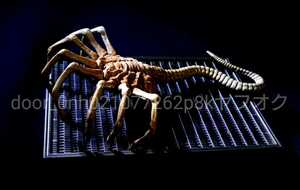 ALIEN FACE HUGGER FIGURE エイリアン ジオラマフィギュア