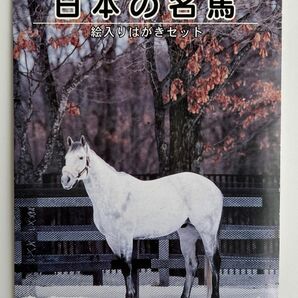 【絵葉書5枚】日本の名馬　絵入りはがきセット