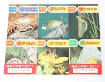 ju22■送料無料◆本◆カラー自然シリーズ◆1巻～30巻◆26巻欠品◆29冊まとめて◆偕成社◆昆虫・生物◆アリ/アブラゼミ/クワガタ/カマキリ他_画像6