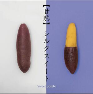 貯蔵芋　Ｌサイズ　５キロ【プレミアム　シルクスイート】さつまいも　絶品　最高級　　極上　『味、甘さが違います』 農家直送！