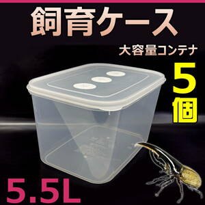 【RK】飼育ケース 大容量コンテナ 5.5L 新品 5個 おまけ付 国産 外国産カブトムシ 幼虫飼育に最適！タイベストシール予備付