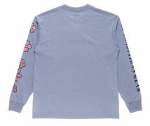 送料無料 2XL●NIKE ACG NRG FLORAL L/S TEE DQ4959-493 ナイキ ACG ロングスリーブ ロンT 長袖 花 オールシーズン_画像2