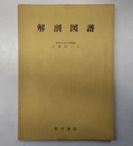 解剖図譜　久保田くら　東京女子医科大学　医学書院　看護・医学　●H3112