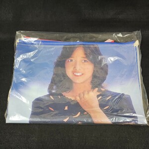 《デッドストック》ミノルタ 宮崎美子 フラッグ のれん 昭和レトロ 当時物 美品 非売品