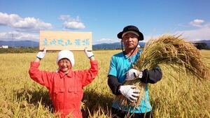 つや姫はえぬき雪若丸の中米！令和5年産山形県庄内丸山農場規格外白米27kg