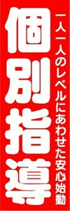 最短当日出荷　のぼり旗　送料185円から　bq2-nobori6043　個別指導　学習塾　受験　勉強