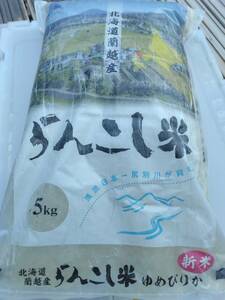 シミック 株主優待品 らんこし米 北海道 ゆめぴりか10kg(5kg×2袋) 令和4年と3年　　即決