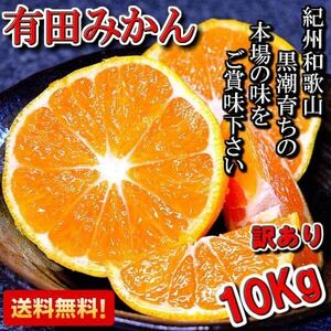 有田みかん　ゆら早生　　小玉　訳あり10ｋｇ　送料無料(北海道、沖縄県、東北地方除く)