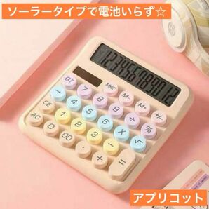 カラフル丸ボタンが可愛い ソーラー電卓 電池いらず アプリコット マカロンカラー 家計簿 事務用品 オフィス用品 韓国風 計算機