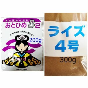 メダカの餌 日清丸紅 おとひめB2 200g ライズ4号 300g 熱帯魚